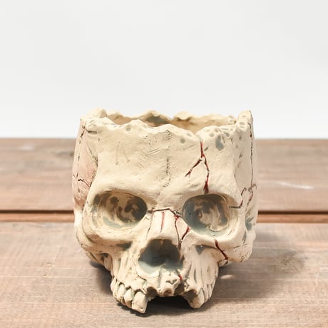 Matasuke Tatsumi（TEATOYA'S GALLERY）【Skull pot WHITE 】RFMT2409008