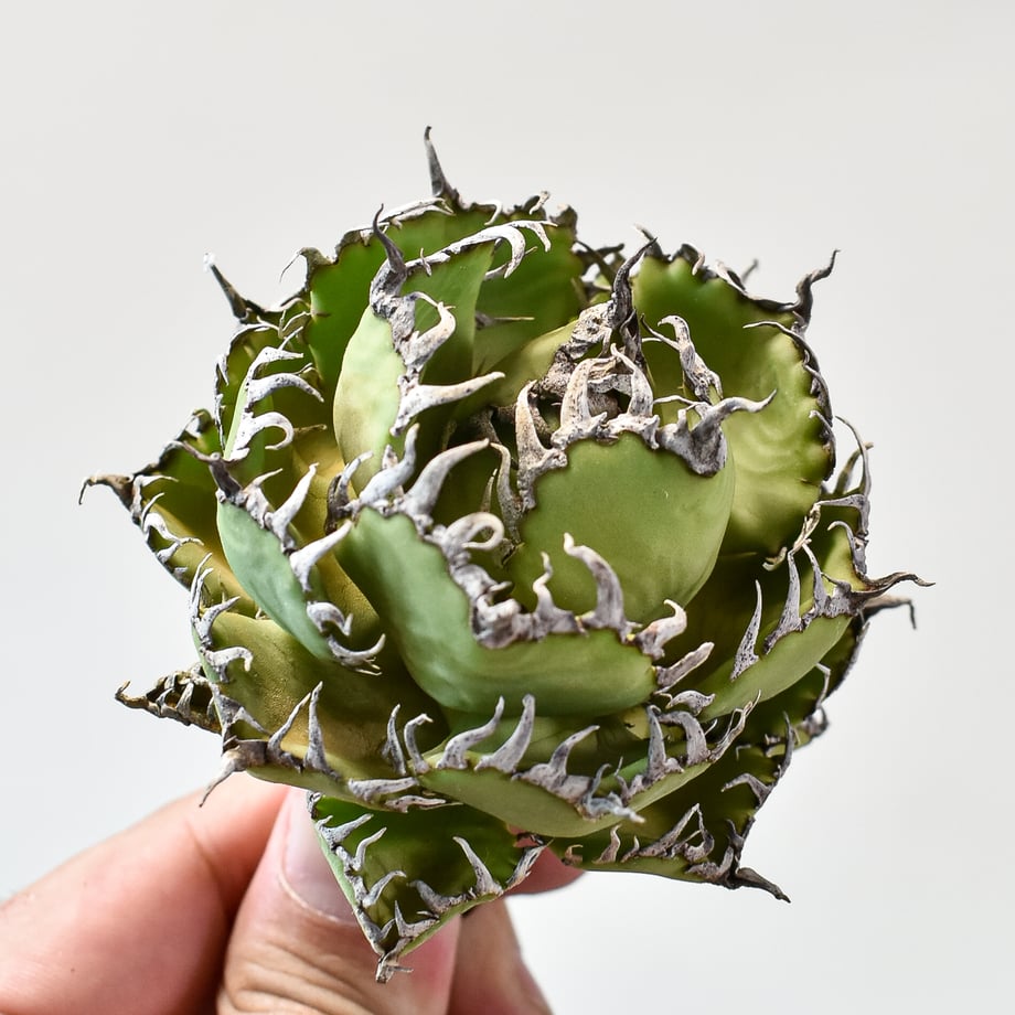 6701ae77e4567c453123a355
