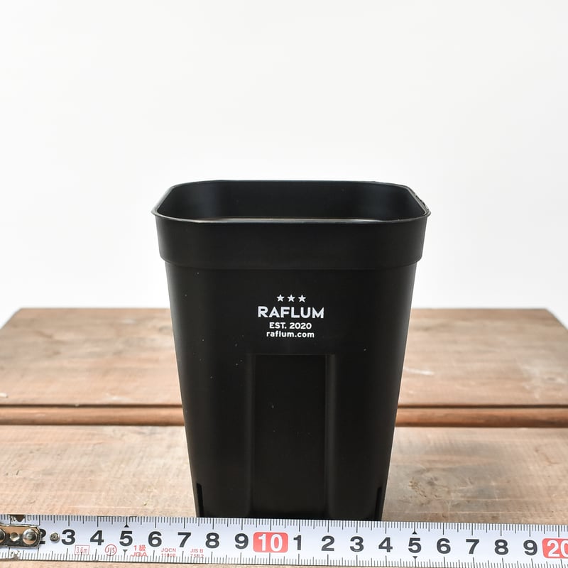 RAFLUM SLIT PLANTER サイズS/105 