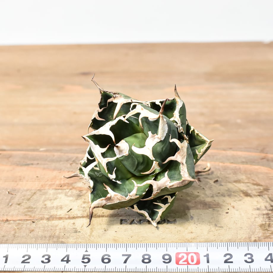69e9ae5efc56603b8b8d5b98
