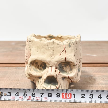 Matasuke Tatsumi（TEATOYA'S GALLERY）【Skull pot WHITE 】RFMT2409008