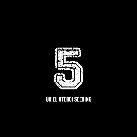 【RAFLUM育成株 5個セット】アガベ Uriel oteroi seeding / ウリエル実生  【RAFLUM産/実生/子株】C3