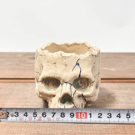 Matasuke Tatsumi（TEATOYA'S GALLERY）【Skull pot WHITE 】RFMT2409009