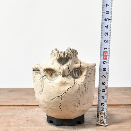 Matasuke Tatsumi（TEATOYA'S GALLERY）【Skull supine pot White 】D