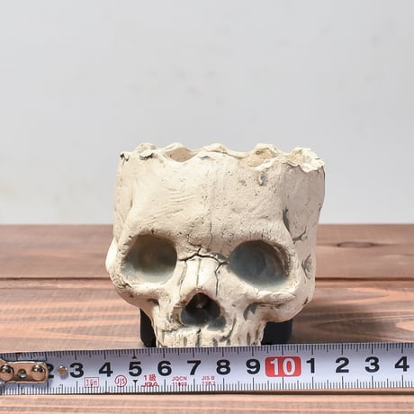 Matasuke Tatsumi（TEATOYA'S GALLERY）【Skull pot White】B