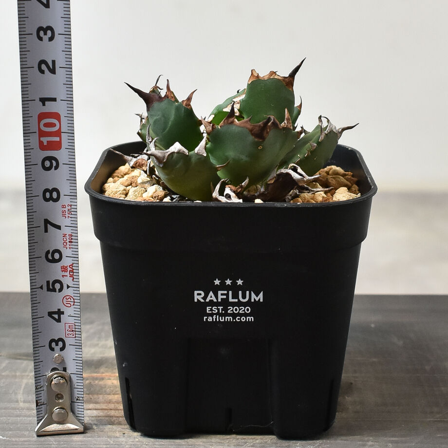 64d260025793b500943087ff