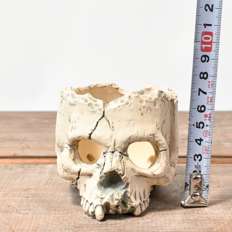 Matasuke Tatsumi（TEATOYA'S GALLERY）【Skull hole pot White】B