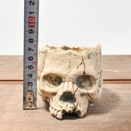 Matasuke Tatsumi（TEATOYA'S GALLERY）【Skull pot WHITE 】RFMT2409008