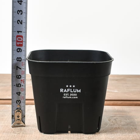 RAFLUM SLIT PLANTER サイズS/105  （3個セット）