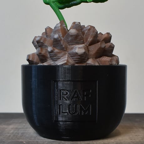 【植物フィギュア】RAFLUM × LOBINDON【Dioscorea elephantipes】RFLB23009