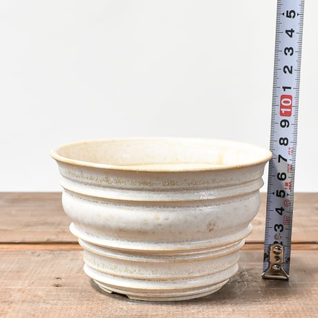 Calvero（Ceramic artist）【 Aladdin-Allbus- 2501-04】