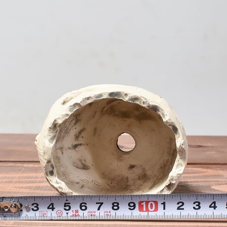 Matasuke Tatsumi（TEATOYA'S GALLERY）【Skull pot White】B