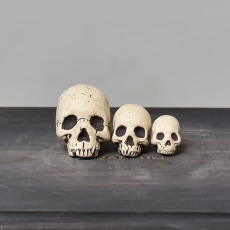 Matasuke Tatsumi（TEATOYA'S GALLERY）【Skull pebble set White】type B
