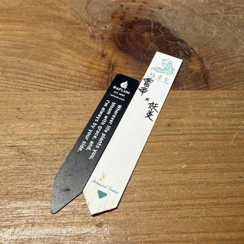 姫雷帝×妖炎　子株　BOSS産 DRAGON AGAVE】アガベ 姫雷帝×妖炎 EC1148 – TaiShoDo ONLINE SHOP