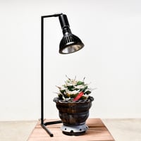 【即納 】【AKOND】54CM FLOOR LAMP STAND  "BLACK" RFTK24003(T)