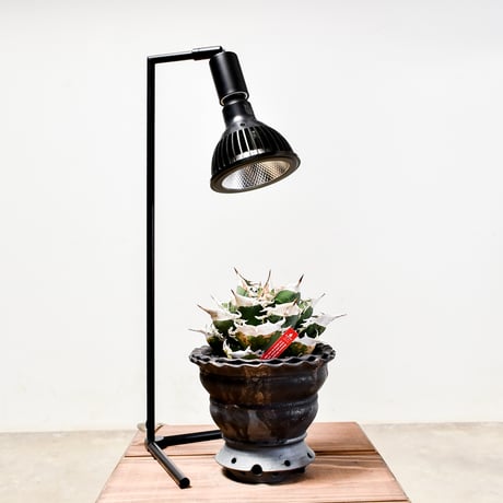 【即納 】【AKOND】54CM FLOOR LAMP STAND  "BLACK" RFTK24003(T)