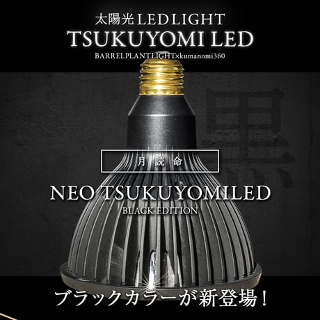 【2個以上で送料無料・即納 】NEO TSUKUYOMI LED 20W BLACK EDITION RFTK24001(T)