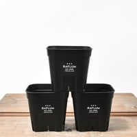 RAFLUM SLIT PLANTER サイズXS/90 （3個セット）