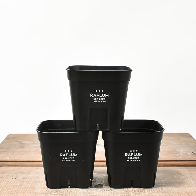 RAFLUM SLIT PLANTER サイズXS/90 （3個セット） | RAFLUM /