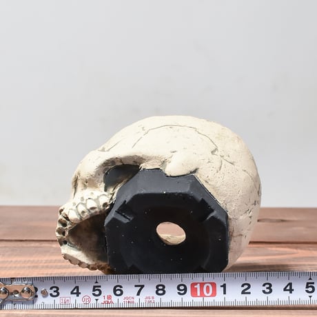 Matasuke Tatsumi（TEATOYA'S GALLERY）【Skull pot White】A