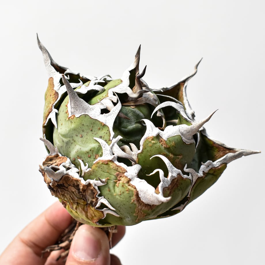 696abd0d928f97860f9ec6bf