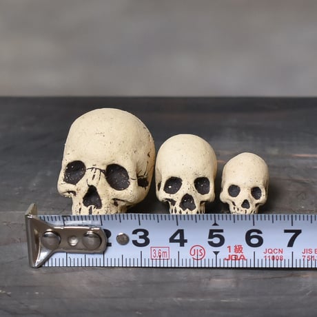 Matasuke Tatsumi（TEATOYA'S GALLERY）【Skull pebble set White】type A