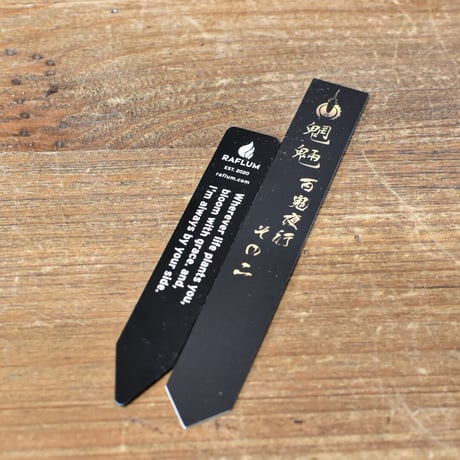 【百鬼夜行 その二】アガベ 特白肌×妖炎 "魍魎"【台湾botanical_seeker産】RF25012407