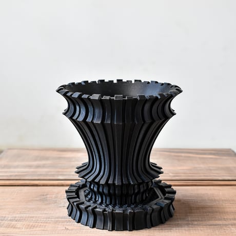 CATEGORY BOTANICA | RAFLUM / ラフラム｜東京、大阪の塊根植物（コー