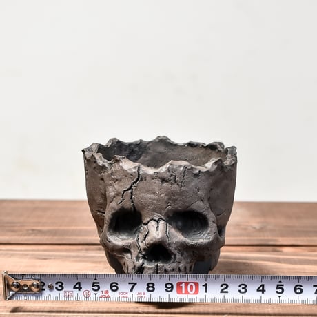 Matasuke Tatsumi（TEATOYA'S GALLERY）【Skull pot Black】RFMT24001