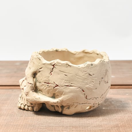 Matasuke Tatsumi（TEATOYA'S GALLERY）【Skull pot WHITE 】RFMT2409007