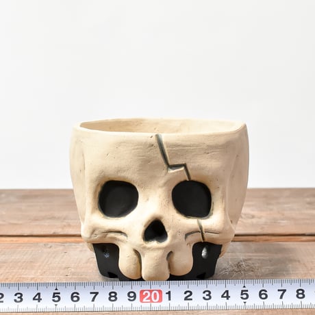 Matasuke Tatsumi（TEATOYA'S GALLERY）【Deformed Skull pot White】C