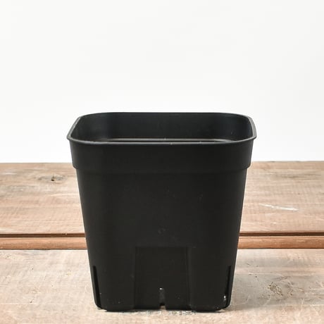 RAFLUM SLIT PLANTER サイズXS/90 （3個セット）