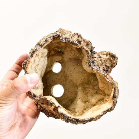 沙天成 / Sha tianchen【RF25011330】