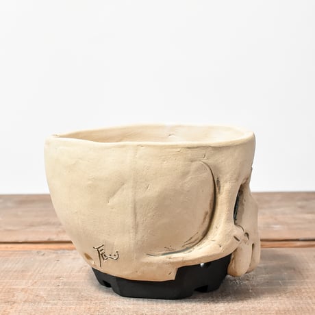 Matasuke Tatsumi（TEATOYA'S GALLERY）【Deformed Skull pot White】A