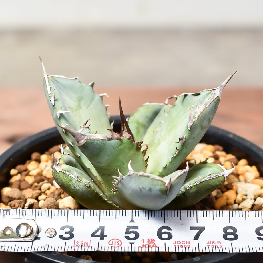 659e7583fc566007a9c13fb9