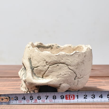 Matasuke Tatsumi（TEATOYA'S GALLERY）【Skull pot White】A