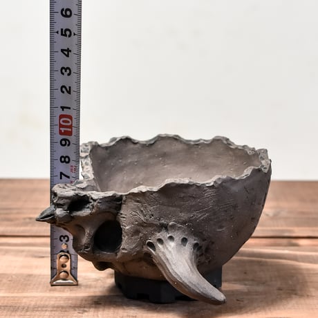 Matasuke Tatsumi（TEATOYA'S GALLERY）【Skull half face Devil pot BLACK】RFMT24008(T)