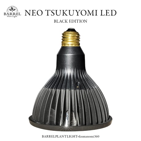 【2個以上で送料無料・即納 】NEO TSUKUYOMI LED 20W BLACK EDITION RFTK24001(T)