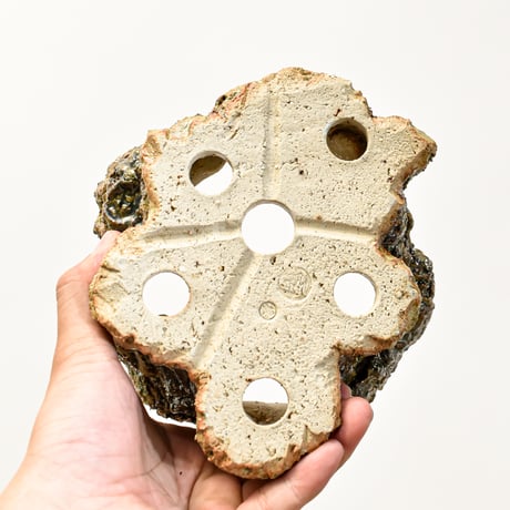 沙天成 / Sha tianchen【RF25011351】