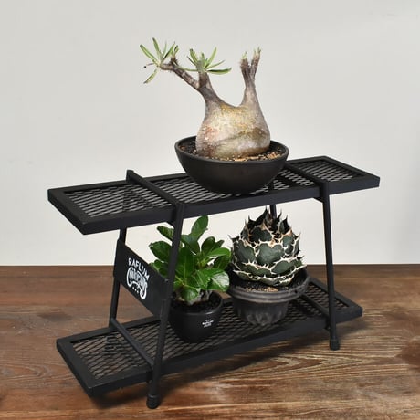 RAFLUM×COVERALLS "ラダーシェルフ"【 ladder shelf 】植物棚/プランツシェルフ/植物用の棚/アイアンシェルフ/アイアンウッドシェルフ RFCA23006