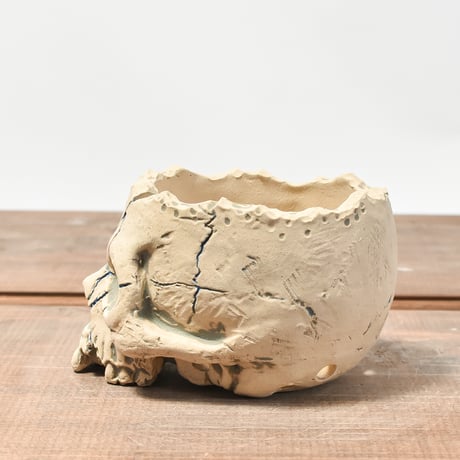 Matasuke Tatsumi（TEATOYA'S GALLERY）【Skull pot WHITE 】RFMT2409009