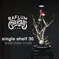 RAFLUM×COVERALLS シングルシェルフ 30 【 Singleshelf 30 】植物棚/プランツシェルフ/アイアンシェルフ/アイアンウッドシェルフ RFCA23001