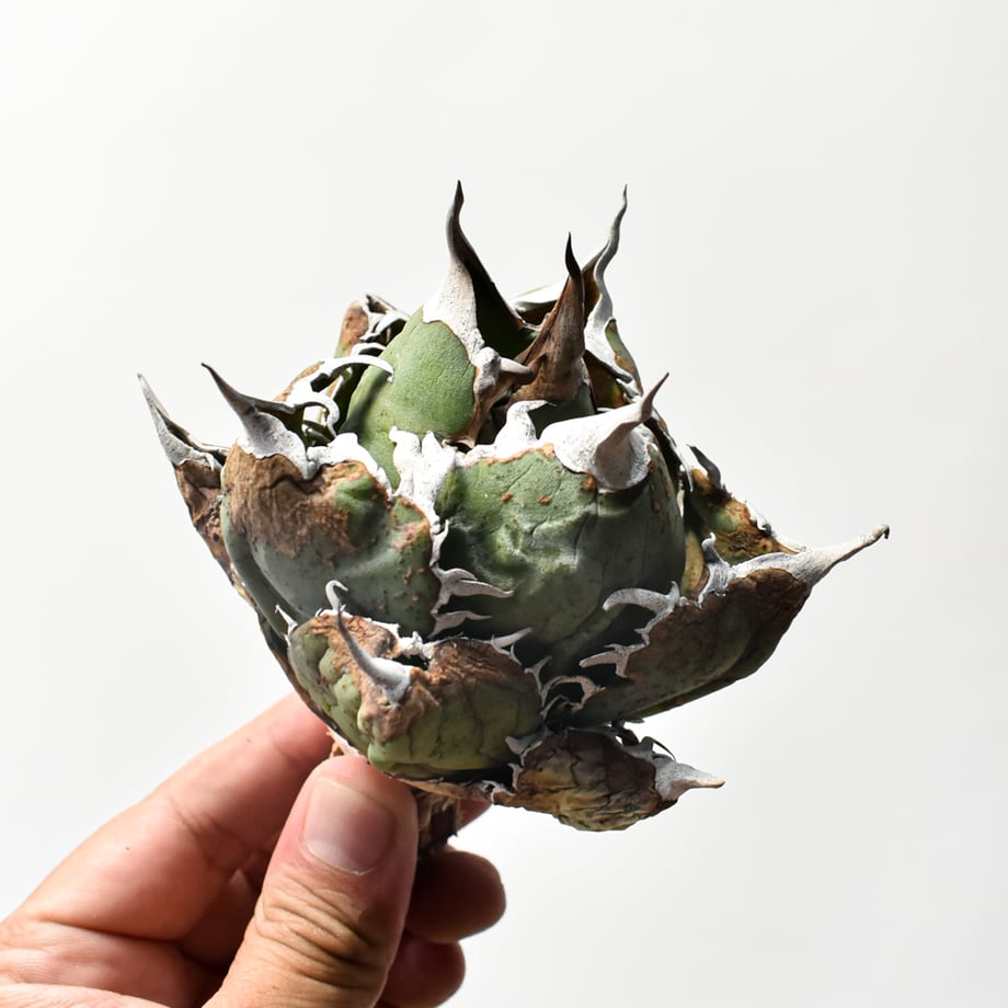 6a0e658cd9c1576a18bc86cf