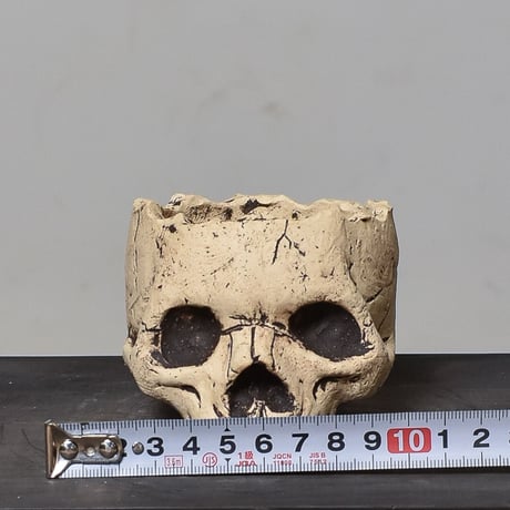 Matasuke Tatsumi（TEATOYA'S GALLERY）【Skull pot White 】type B