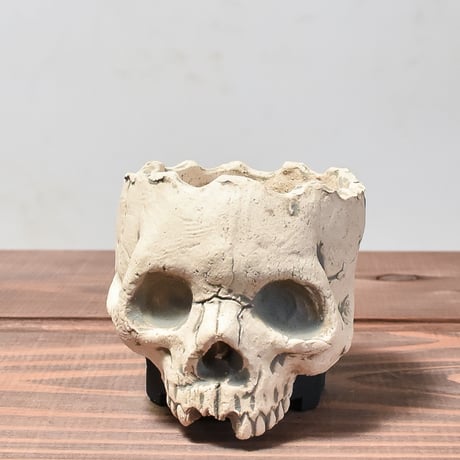 Matasuke Tatsumi（TEATOYA'S GALLERY）【Skull pot White】B