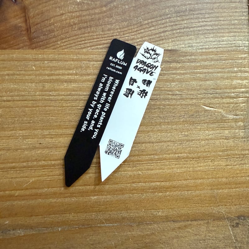 アガベ hybrid イシスメンシス×マンガベブラッドスポット /雷帝X血雨