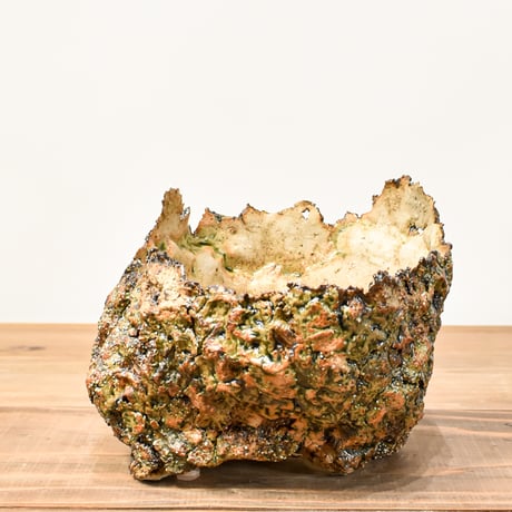 沙天成 / Sha tianchen【RF25011348】