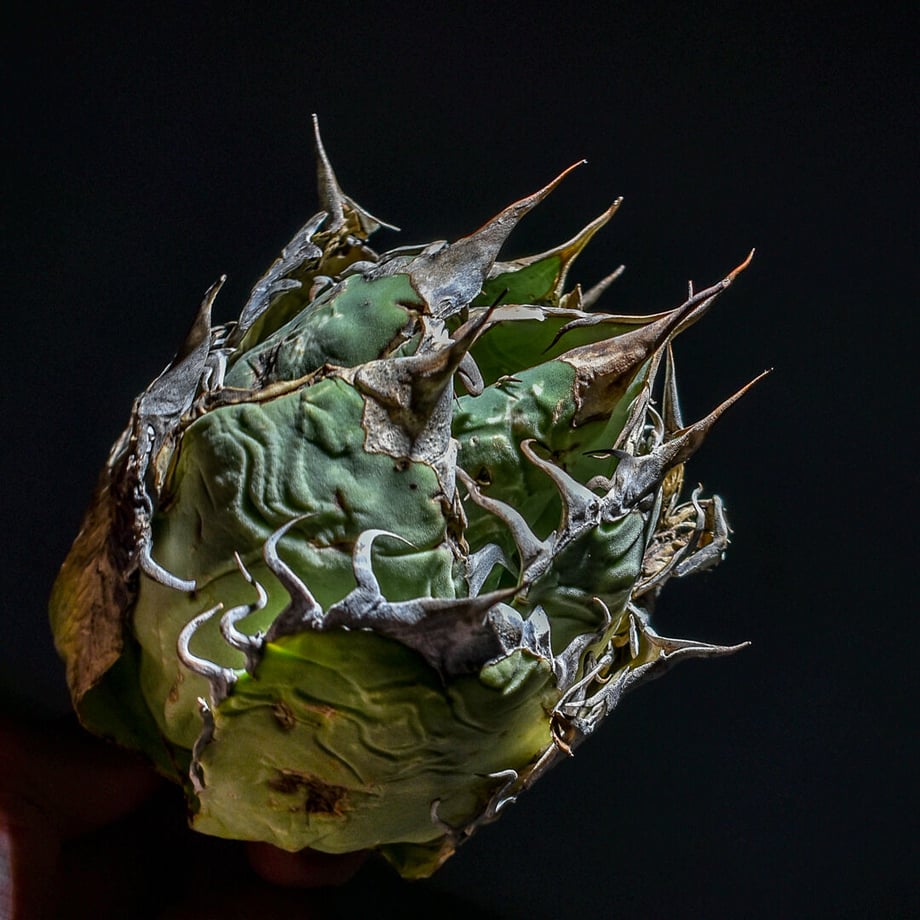 644379cb5d5206039fd7f208