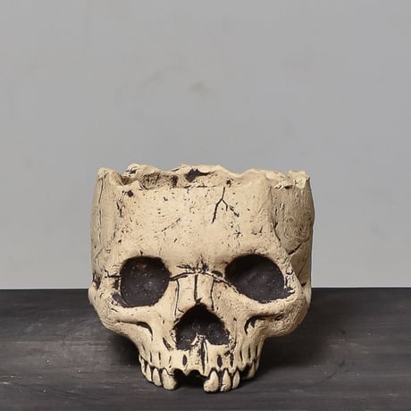 Matasuke Tatsumi（TEATOYA'S GALLERY）【Skull pot White 】type B