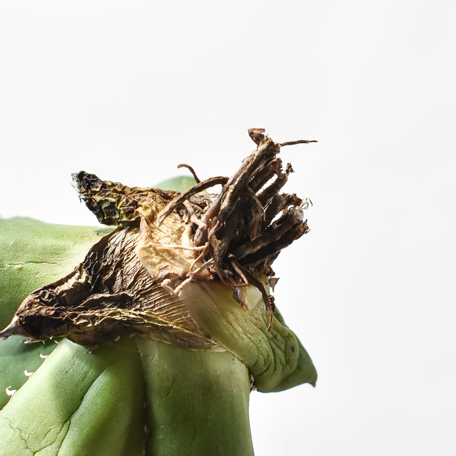 671c831227d5b2196b2ad990